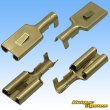 Photo4: [Yazaki Corporation] 305-type (for fusible link electric wires, etc) non-waterproof 1-pole female-coupler & terminal set (4)